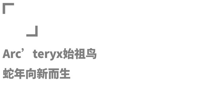 4年运动与户外品牌的“十佳创意”球盟会登录平台年终盘点：202(图3)