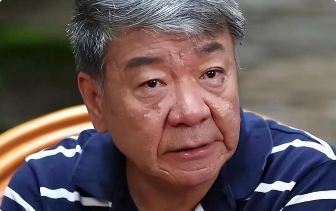 檀健次演贾宝玉刘亦菲演薛宝钗郑晓龙《红楼梦》网友推荐选角(图20)